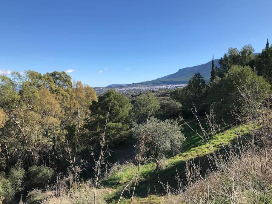 Penthouse Apartment, Cortijo Fruitful Hills Málaga Extérieur photo